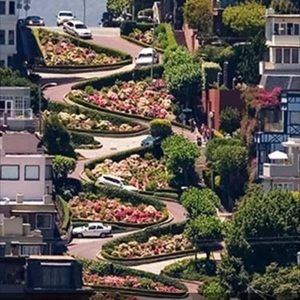 Meet your Posher, Anselmo